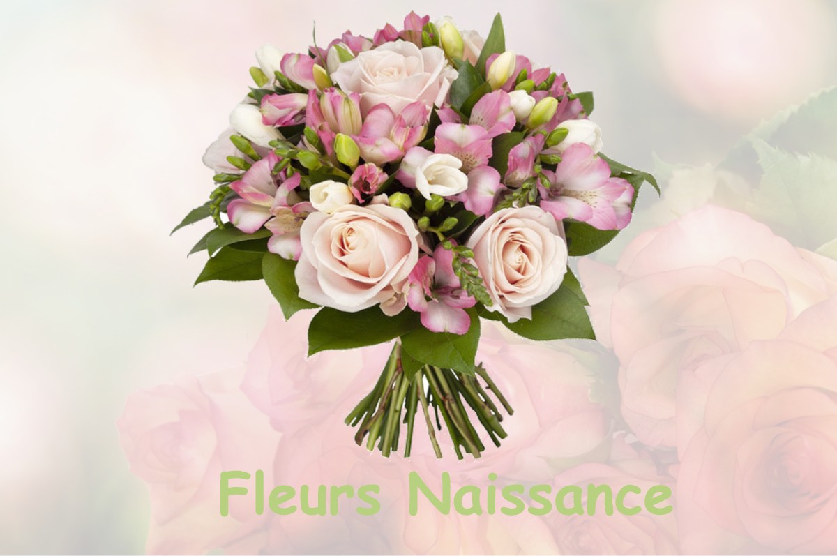 fleurs naissance SAINT-PIERRE-DE-JUILLERS