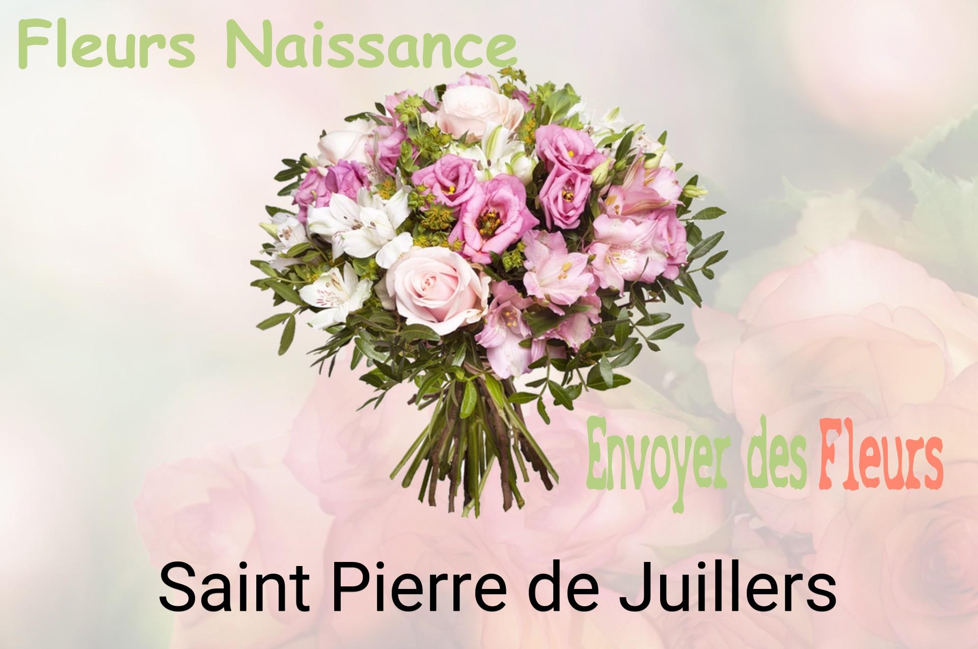Bouquet de fleurs de naissance livré à Saint-Pierre-de-Juillers